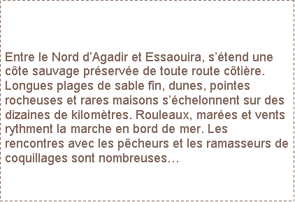 Zone de Texte: Entre le Nord dAgadir et Essaouira, stend une cte sauvage prserve de toute route ctire. Longues plages de sable fin, dunes, pointes rocheuses et rares maisons schelonnent sur des dizaines de kilomtres. Rouleaux, mares et vents rythment la marche en bord de mer. Les rencontres avec les pcheurs et les ramasseurs de coquillages sont nombreuses