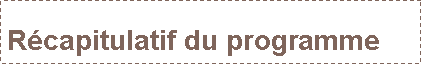 Zone de Texte: Rcapitulatif du programme