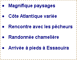 Zone de Texte: Magnifique paysages Cte Atlantique varieRencontre avec les pcheursRandonne chamelireArrive  pieds  Essaouira