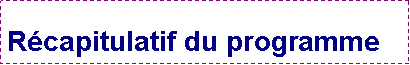 Zone de Texte: Rcapitulatif du programme